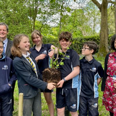Tulip Tree Planting - Celebration of King Charles III's Coronation