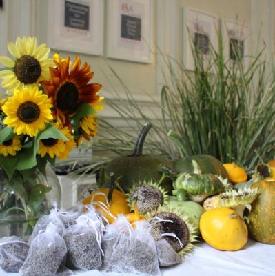 Frewen's Autumn Harvest display!